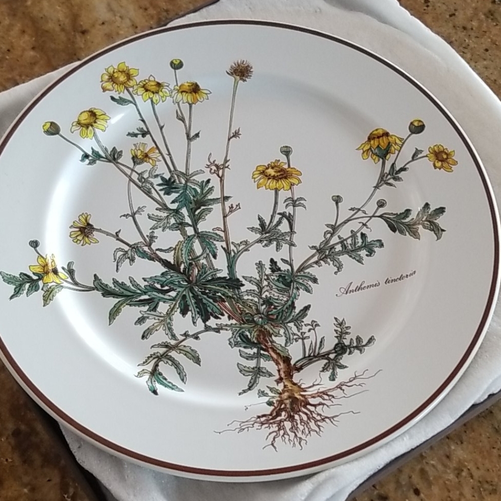 VILLEROY & BOCH
Botanica Porcelain Dinner Plate - Picture 2 of 11